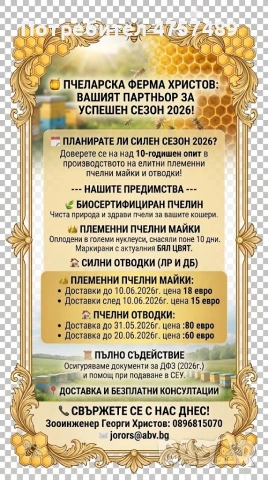 племенни пчелни майки и отводки