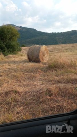 Продавам рулонни бали от ливадно сено.Размер 150/150.Цена 40 лв., снимка 1 - За селскостопански - 41771731