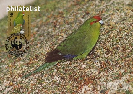 Норфолк 1987 - 4 броя Карти Максимум - WWF, снимка 2 - Филателия - 38788482