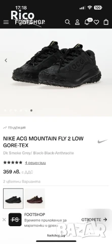 Nike ACG Mountain Fly 2 Low Gore-Tex