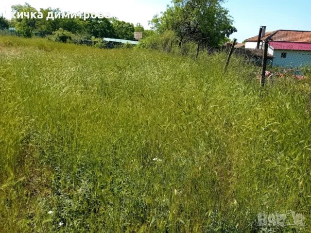 Собственик продава парцел , снимка 2 - Парцели - 50805929