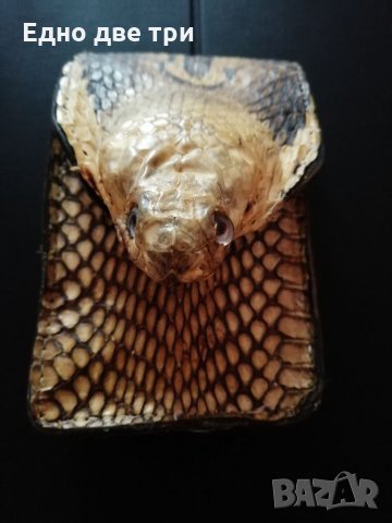 Калъф"Глава Кралска кобра" / Лула"Amadeus Pipes"  , снимка 8 - Антикварни и старинни предмети - 34172769