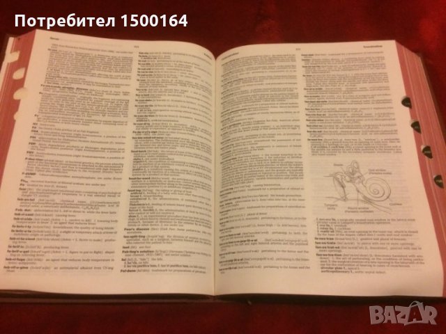 Медицински учебник.Dorland's illustrated Medical Dictionary 28.версия, снимка 4 - Специализирана литература - 35776907