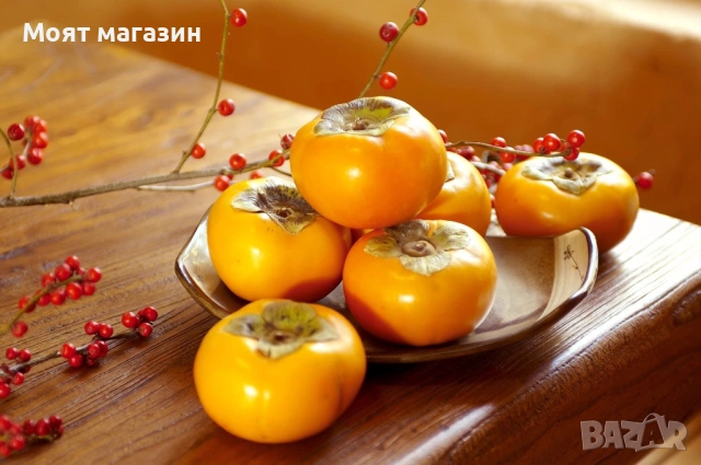 Райска ябълка фую, снимка 4 - Градински цветя и растения - 53631652