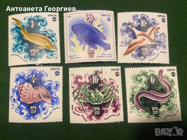 Пощенски марки - Птици, риби - СССР, снимка 2 - Филателия - 44423301