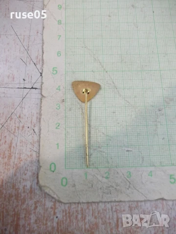 Значка "Snaha Brno - 1920-50-1970" - 1, снимка 4 - Колекции - 50924159