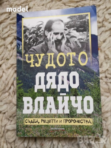 Чудото Дядо Влайчо - Яна Борисова 