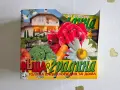 Къща и градина. Том 4: Бр. 1-18 / 2007. Бр. 19-26 / 2008, снимка 2