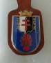 Френска полкова значка на гарнизона на Мец, 2-ра рота. DRAGO Франция., снимка 2