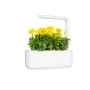 Smart Garden 3 - градина за дома в бяло, снимка 5