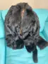 Черно палто зайче/ лисица естествен косъм размер М, снимка 5