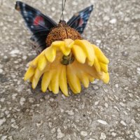 Пеперуда върху цвете– силен двоен магнит., снимка 5 - Декорация за дома - 41561619
