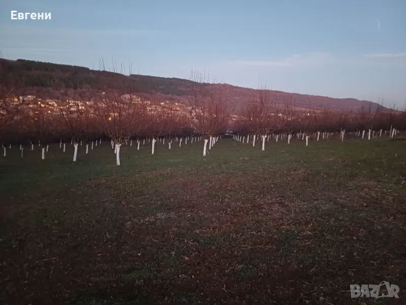 Отдавам овощна градина под наем!, снимка 1