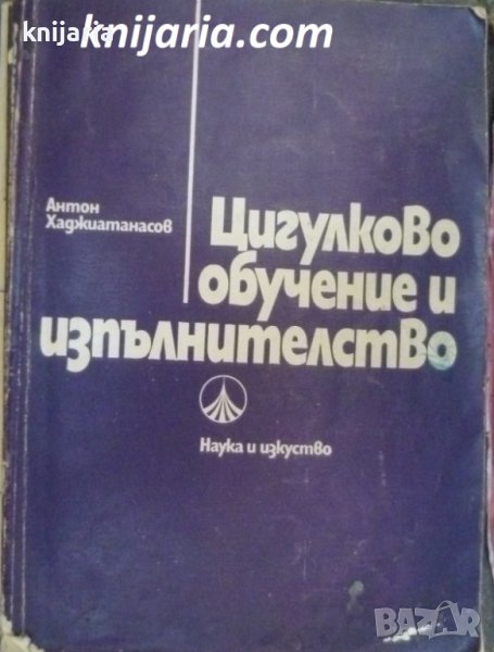Цигулково обучение и изпълнителство: Основни проблеми, снимка 1