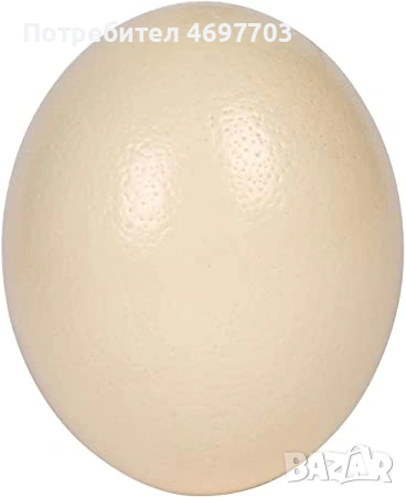 Щаусови яйца за консумация , снимка 1