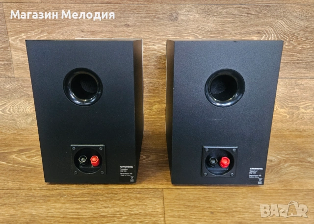 Тонколони Grundig M-2100 – Сребрист дизайн и качествен немски звук, снимка 12 - Тонколони - 53872664