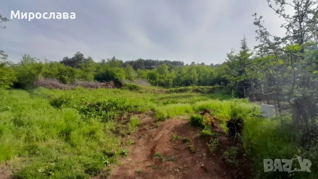 парцел в местността Черния мост , снимка 2 - Парцели - 49732246