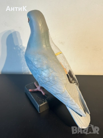 Соц Учебен Анатомичен Модел на Гълъб, снимка 7 - Антикварни и старинни предмети - 53667367