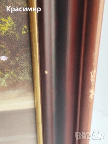  Маслена картина. Подписана и рамкирана размери 58 /48 см., снимка 6 - Картини - 51941272