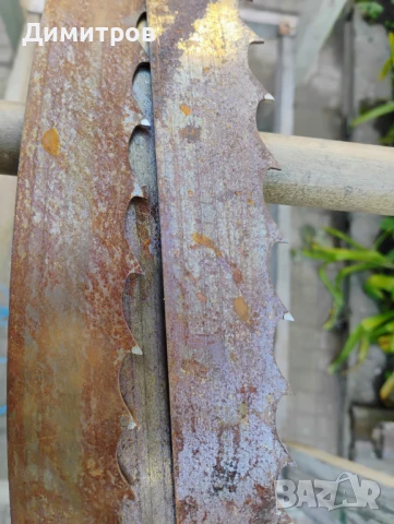 Банцигова лента за бичене, снимка 1