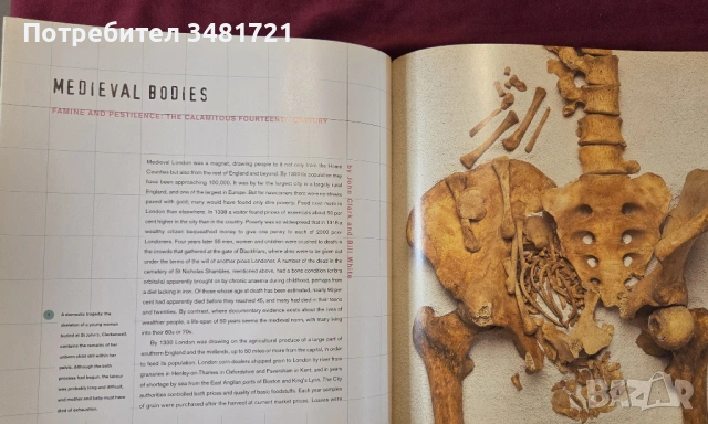 London Bodies. The Changing Shape of Londоners From Prehistoric Times to the Present Day, снимка 9 - Енциклопедии, справочници - 53748227