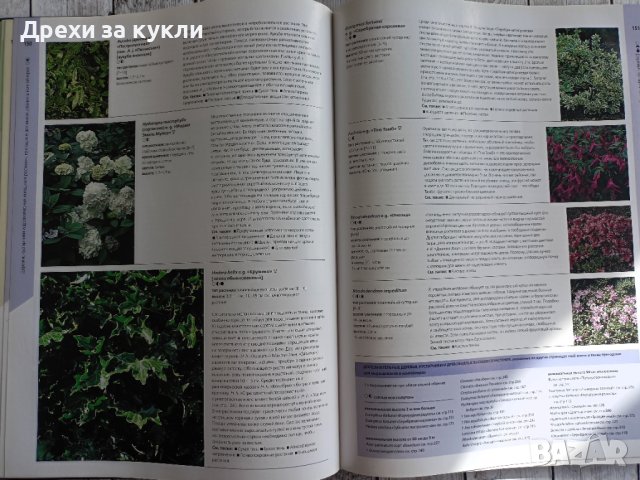 Книга "Правилната градина" , снимка 8 - Енциклопедии, справочници - 44507150