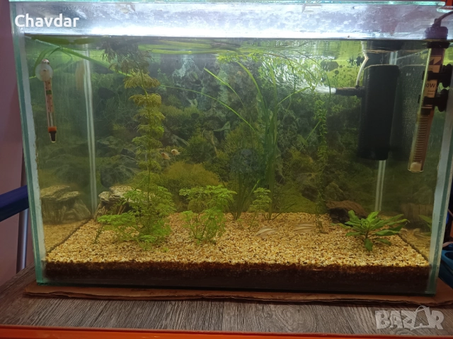 Аквариум 72л 