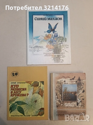 Кто развеселил в лесу кружева? - Юрий Аракчеев