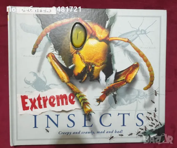 Уникалните насекоми / Extreme Insects. Creepy and Crawly, Mad and Bad, снимка 1