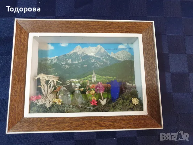 Хербаризирани цветя и кристали в рамка под стъкло  от Астрийските Алпи -Floralp Tyrol 