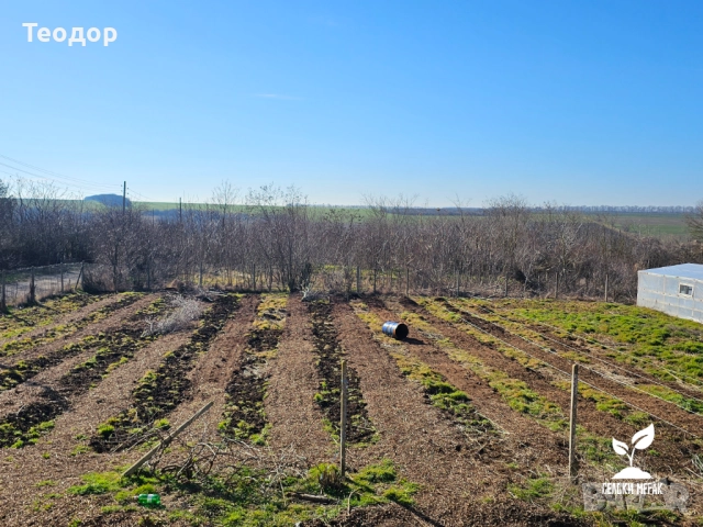 Дървесен чипс на едро (компостиращ), снимка 10 - Тор и почвени смеси - 52135429