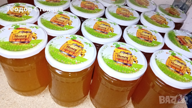 Чист пчелен мед от пчелин в защитена местност,,натура 2000", снимка 1 - Пчелни продукти - 44798210