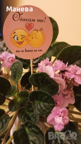 Послание на клечка , снимка 16 - Декорация за дома - 39305794