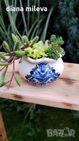 Гърнета аранжирани със сукуленти!, снимка 8 - Декорация за дома - 52496408