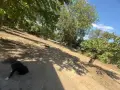 Вила/къща над манастир св. Георги с. Белащица, снимка 5