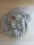 Оригинален шал Loro Piana, снимка 2