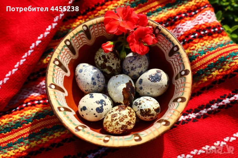 Домашни пъдпъдъчи яйца, снимка 1