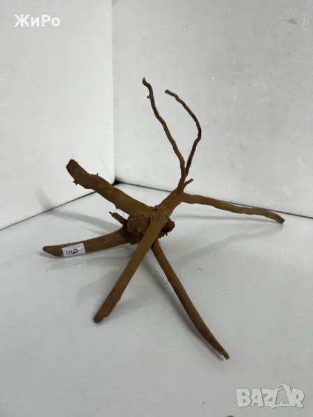 Корен от Азалия /декорация/ 9, снимка 1