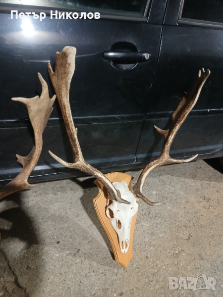 Трофей от Елен Монарх, снимка 1