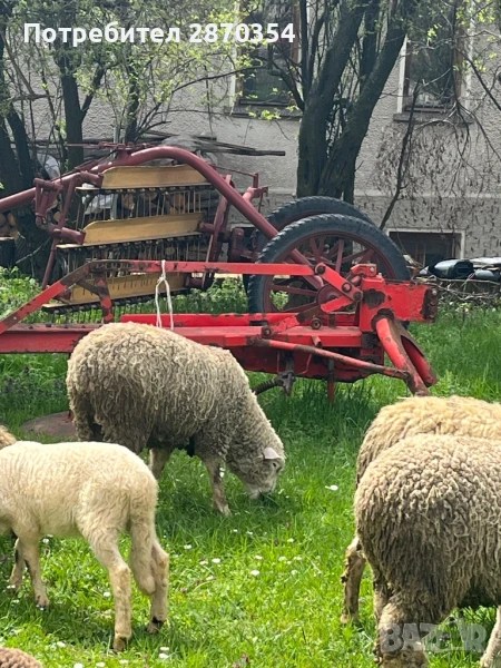 Ил Дьо Франс, снимка 1