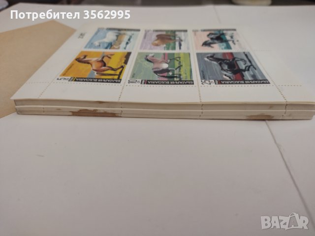 Марки нови с коне,цяла серия 100бр., снимка 4 - Колекции - 39602042