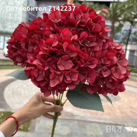 Изкуствени цветя ХОРТЕНЗИИ в различни цветове, снимка 9 - Изкуствени цветя - 47466790