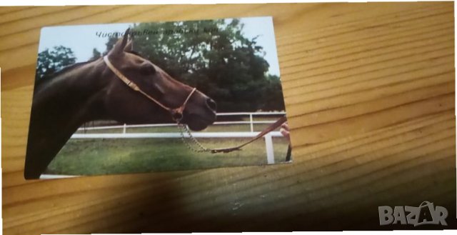 Календарчета , снимка 6 - Колекции - 35935294