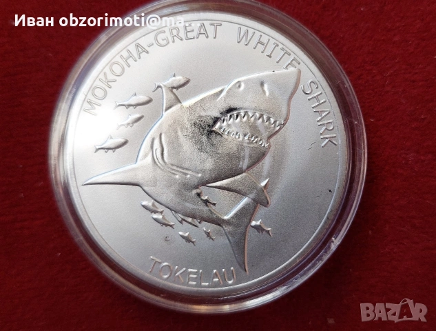 Монета Акула 15 евро.