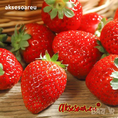 100 бр. ягодови семена от гигантска ягода градинско плодово растение, сладки и вкусни червени ягоди , снимка 7 - Сортови семена и луковици - 47665614