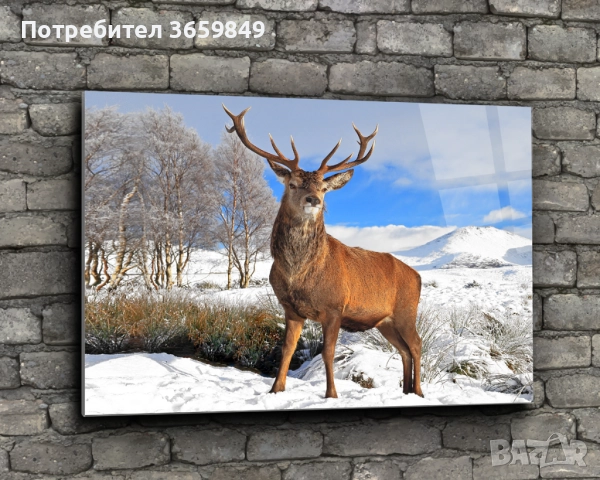 Картини от принт стъкло, снимка 7 - Картини - 52668805