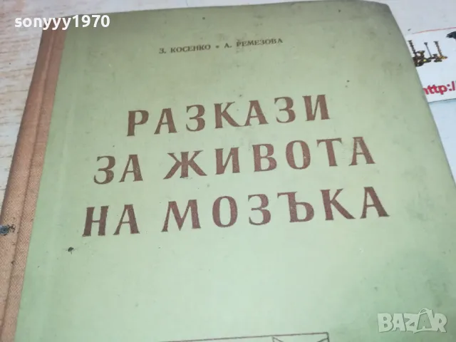РАЗКАЗИ ЗА ЖИВОТА НА МОЗЪКА 1901251411, снимка 6 - Специализирана литература - 48739259
