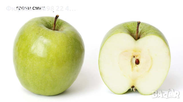 Ябълка – подбрани сортове за богата и вкусна реколта, снимка 2 - Разсади - 52899984