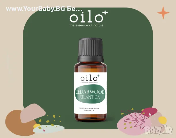 Oilo БИО Етерично Масло от Кедрово дърво (Cedarwood) - Atlas cedar Oilo 5 мл., снимка 4 - Други - 49721332