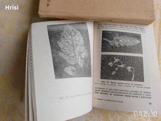 Опазване на зеленчуковите култури от болести, неприятели и плевели, снимка 4 - Специализирана литература - 36003766